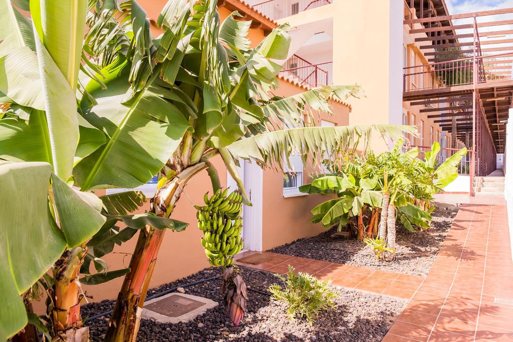 Vakantiehuis La Platanera By Vive La Exclusividad *